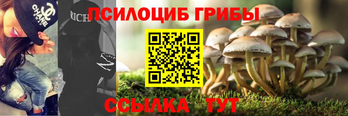 даркнет сайт  Вход с VPN  Верхняя Пышма  Галлюциногенные грибы Psilocybe  Галлюциногенные грибы MAGIC MUSHROOMS 